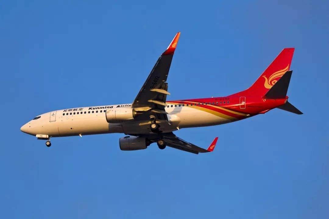 �ǿ�������