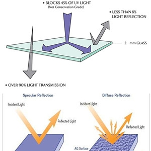 �ǿ�������