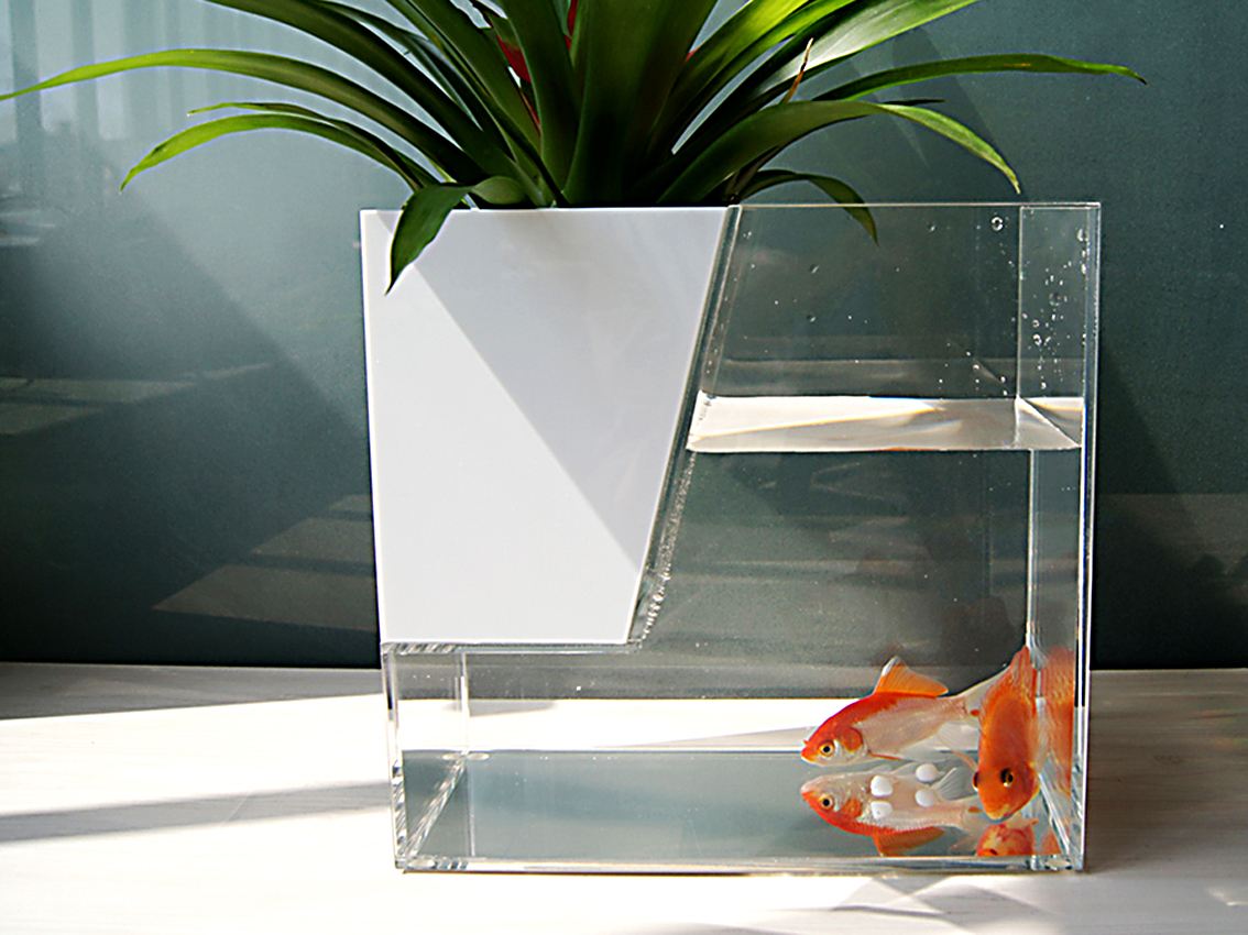 �ǿ���������