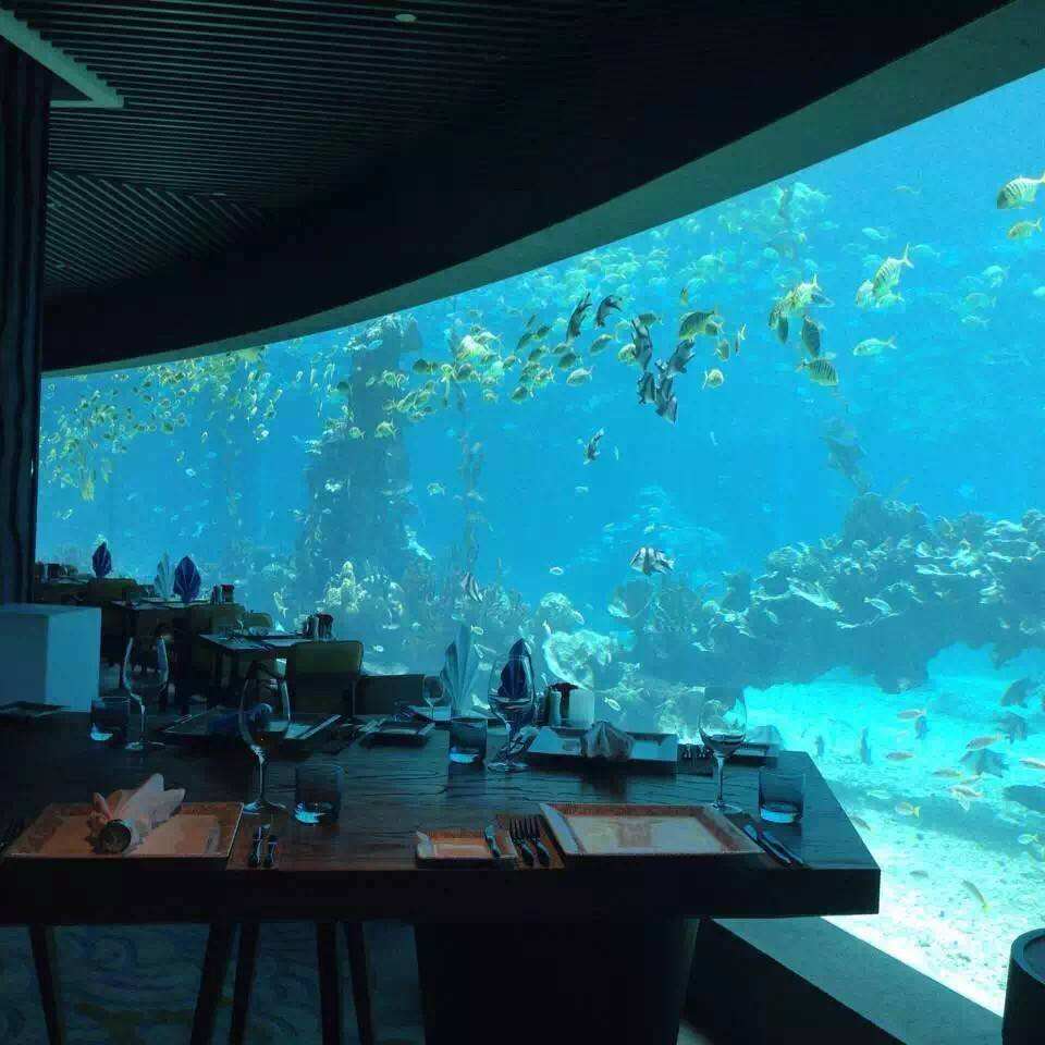 ˮ�������